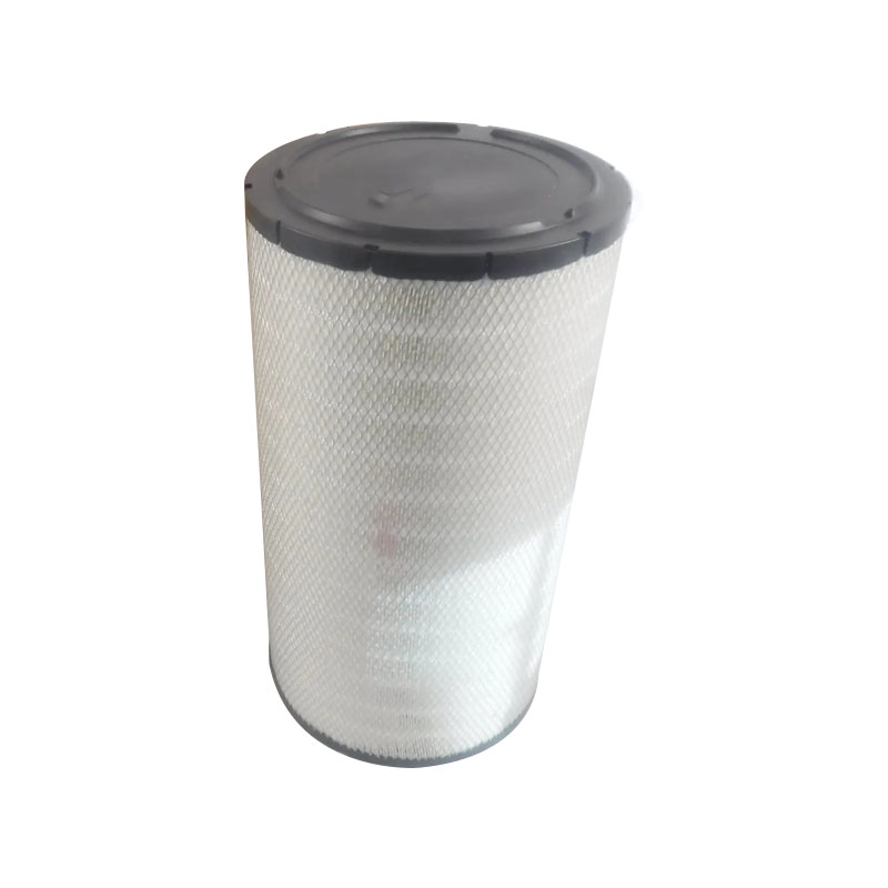 Fizarana kamiao Air Filter Cartridge 17500251